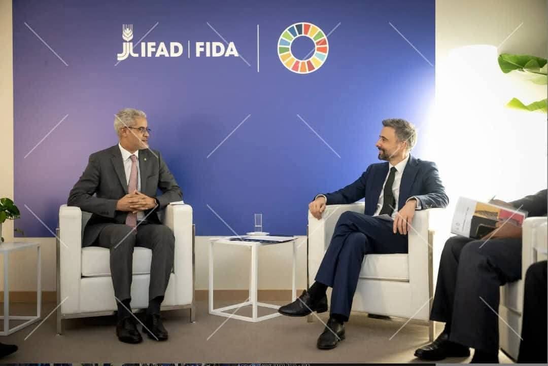 الصورة الرئيسية للمقال