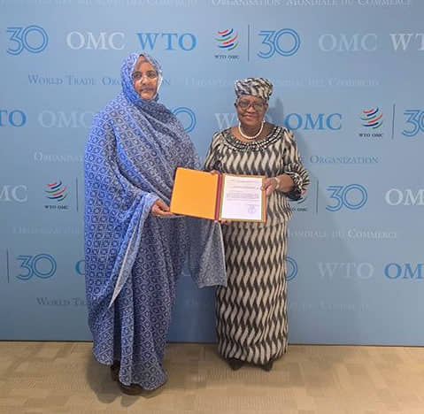 الصورة الرئيسية للمقال