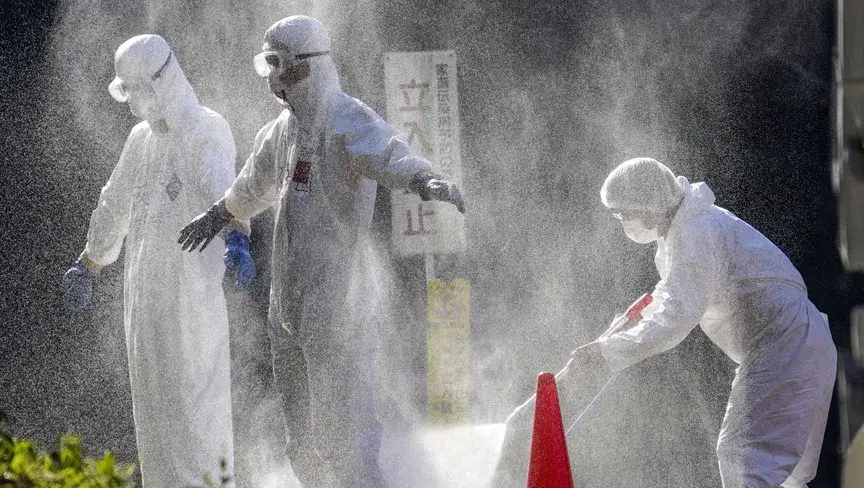 الصورة الرئيسية للمقال