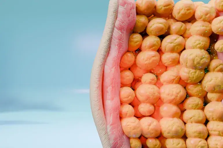 الصورة الرئيسية للمقال