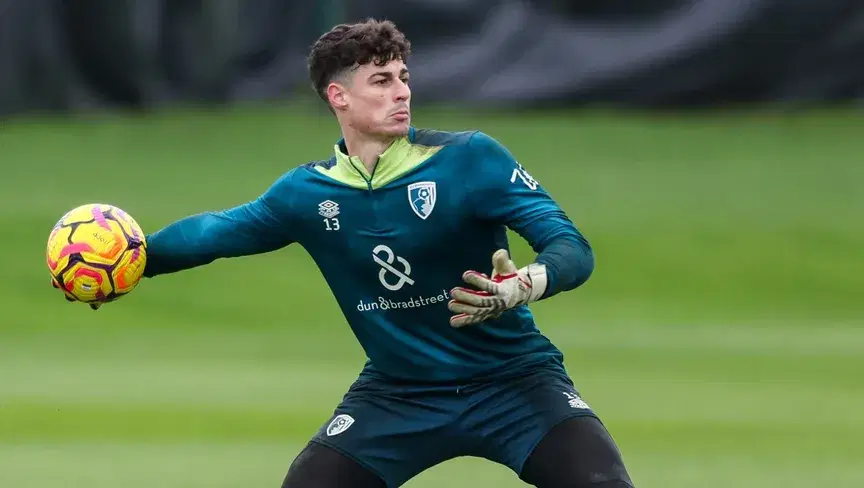 الصورة الرئيسية للمقال