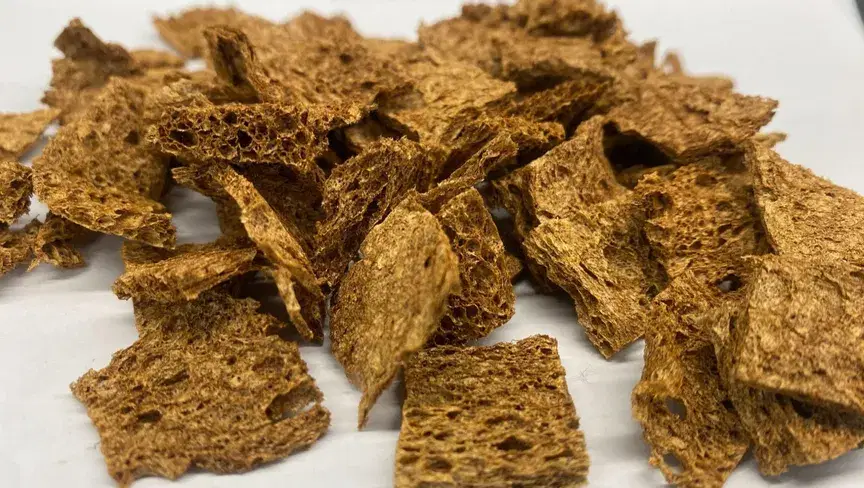 الصورة الرئيسية للمقال