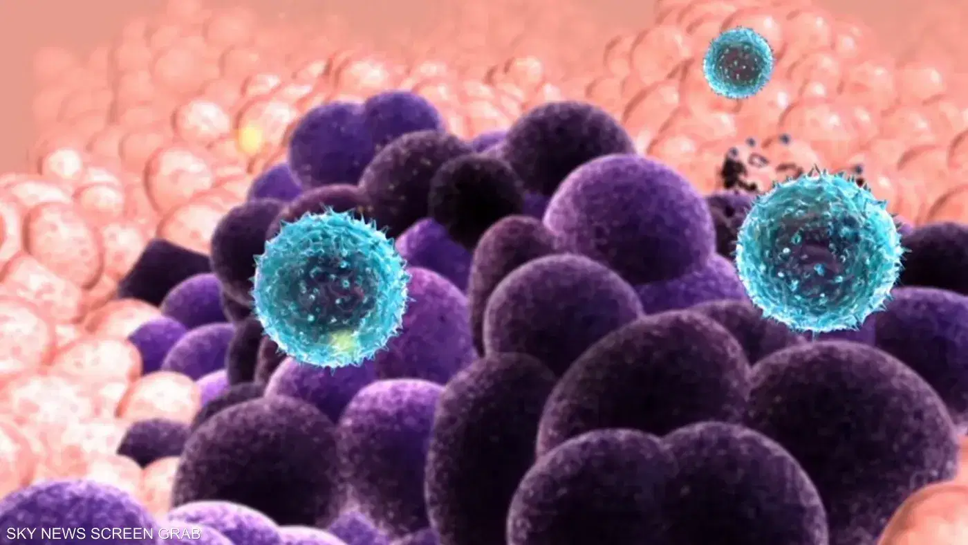 الصورة الرئيسية للمقال