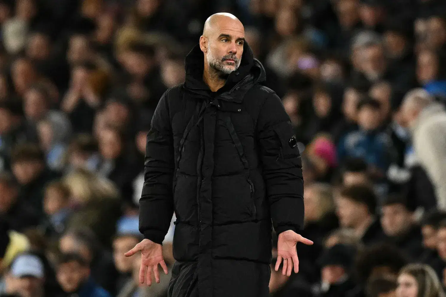 الصورة الرئيسية للمقال