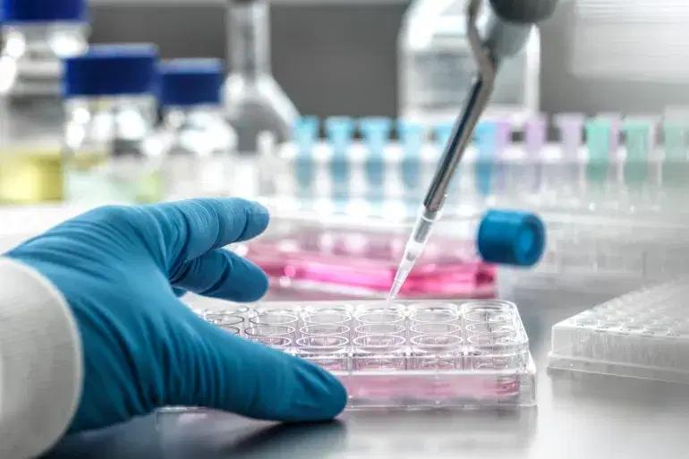 الصورة الرئيسية للمقال