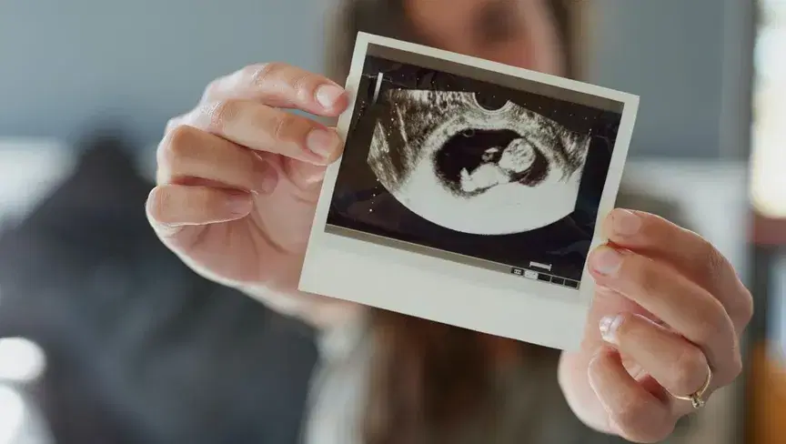 الصورة الرئيسية للمقال