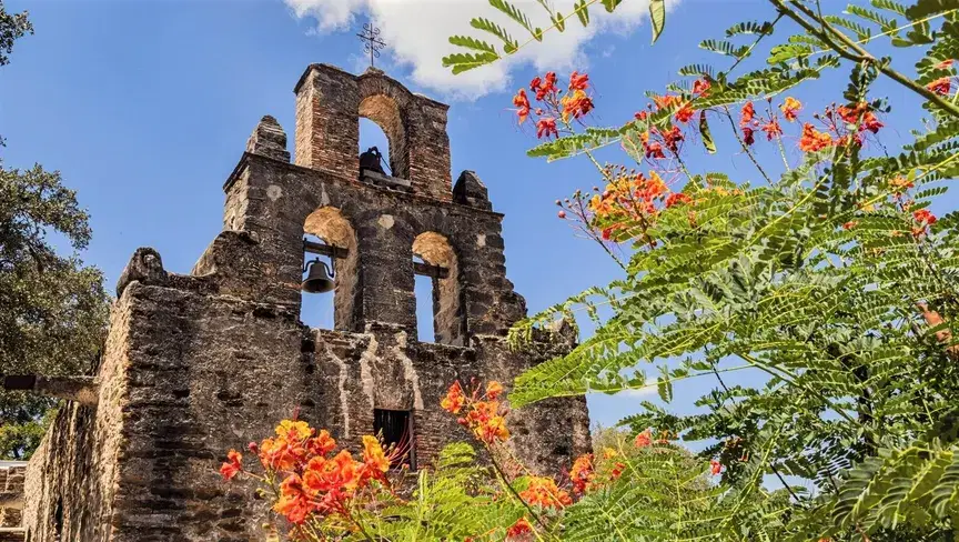 الصورة الرئيسية للمقال