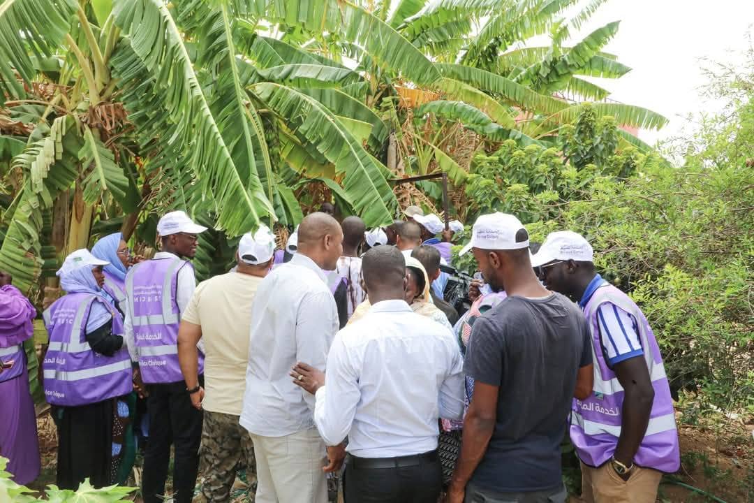 الصورة الرئيسية للمقال