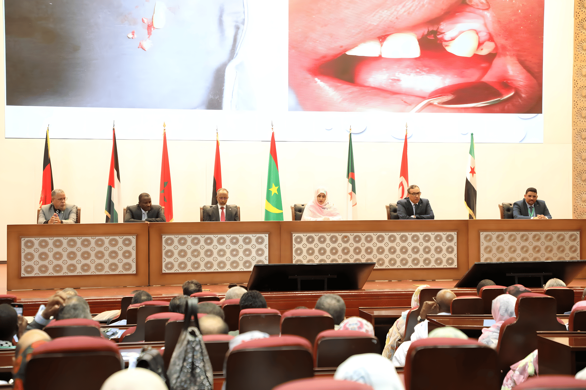 الصورة الرئيسية للمقال