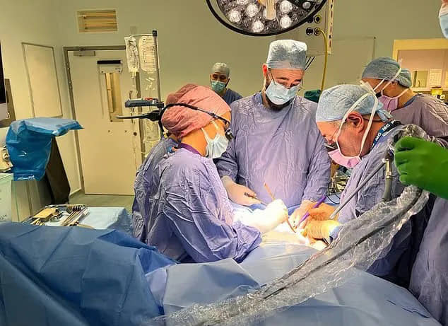 الصورة الرئيسية للمقال