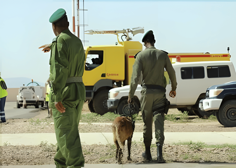 الصورة الرئيسية للمقال