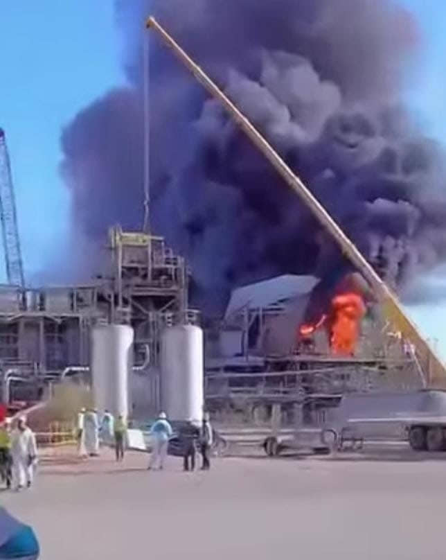 الصورة الرئيسية للمقال