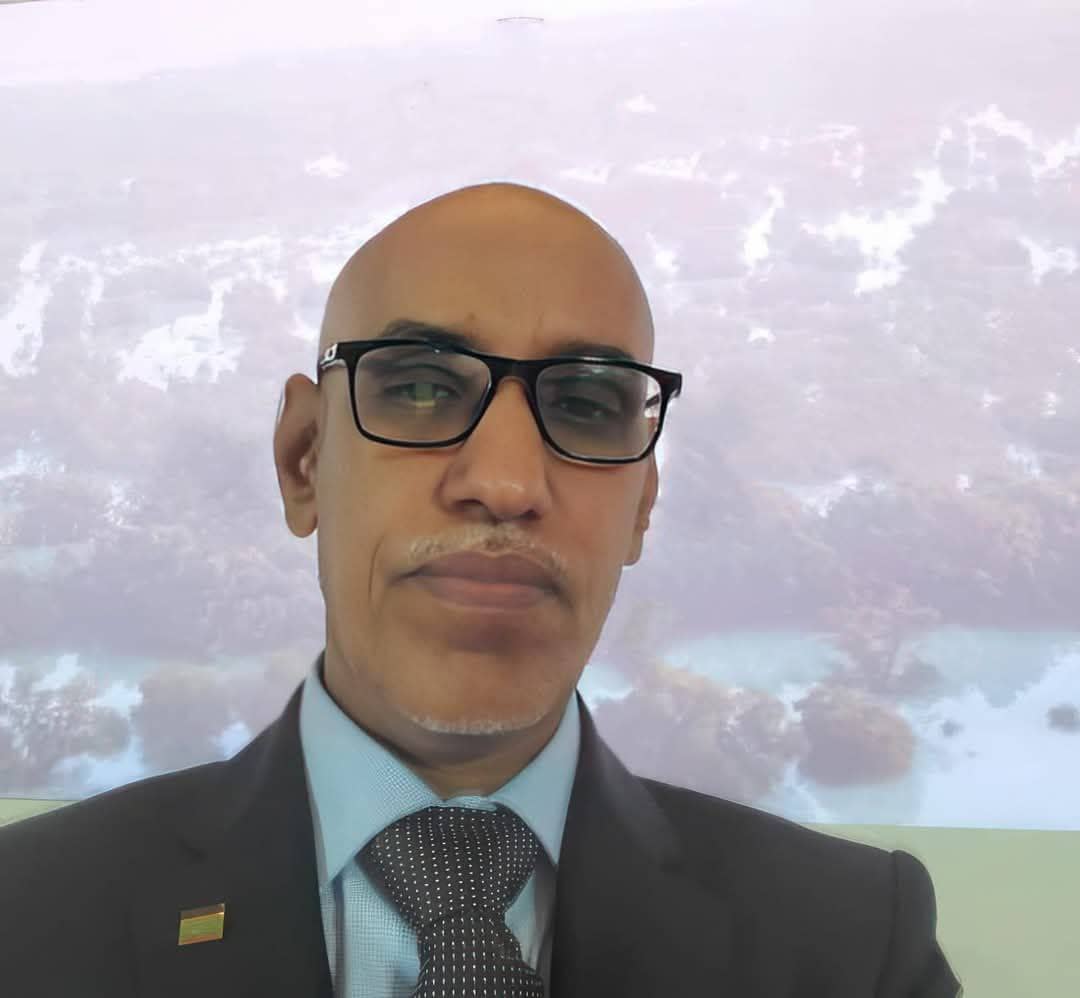 الصورة الرئيسية للمقال