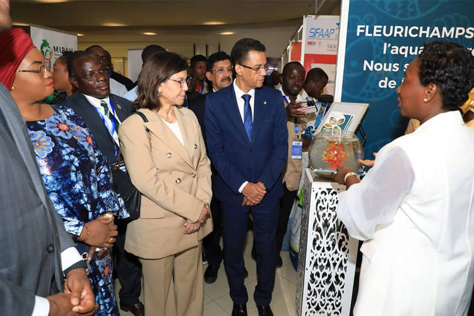 الصورة الرئيسية للمقال