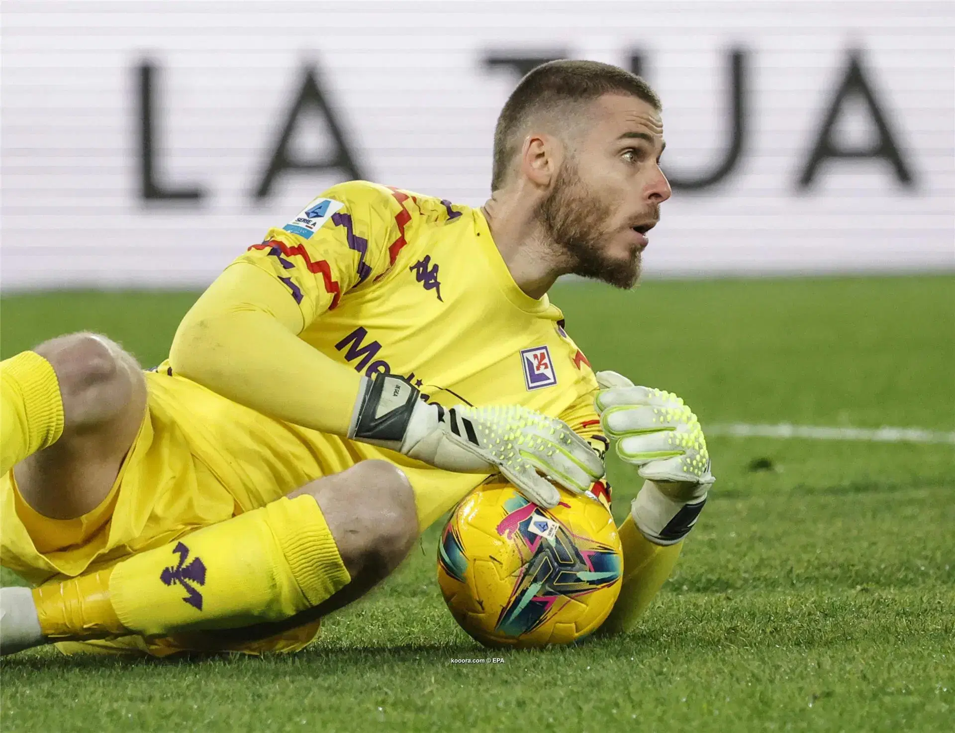 الصورة الرئيسية للمقال