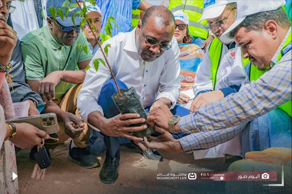 الصورة الرئيسية للمقال