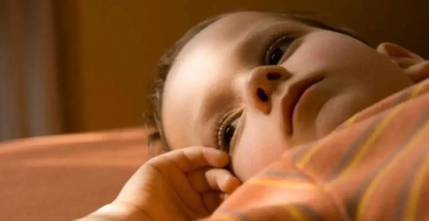 الصورة الرئيسية للمقال