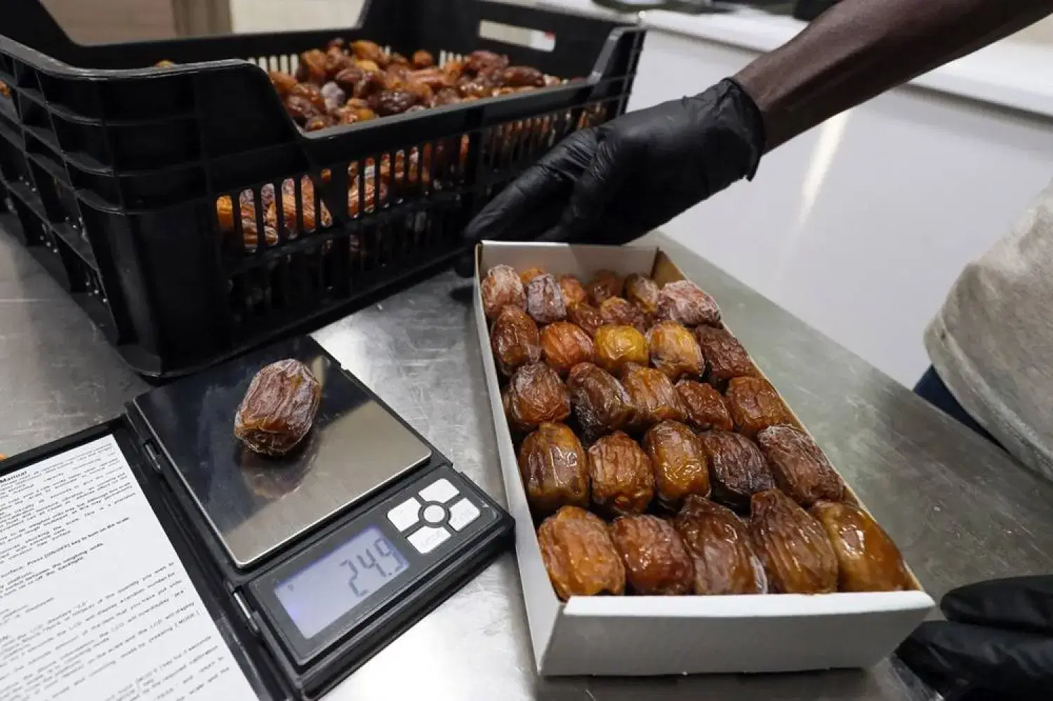 الصورة الرئيسية للمقال