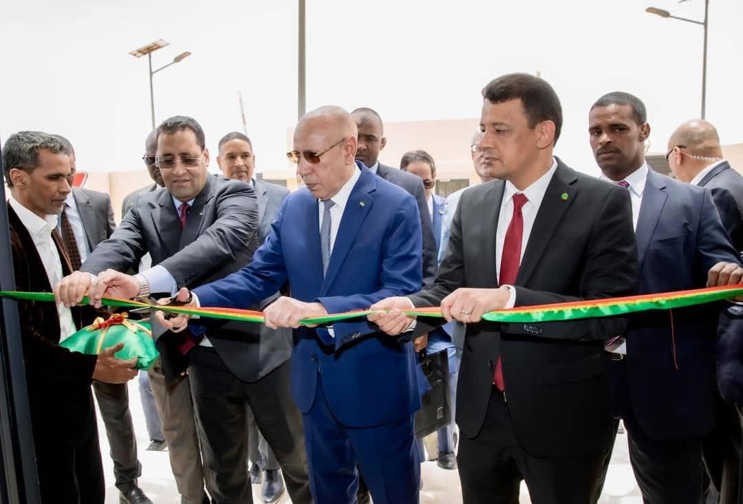 الصورة الرئيسية للمقال