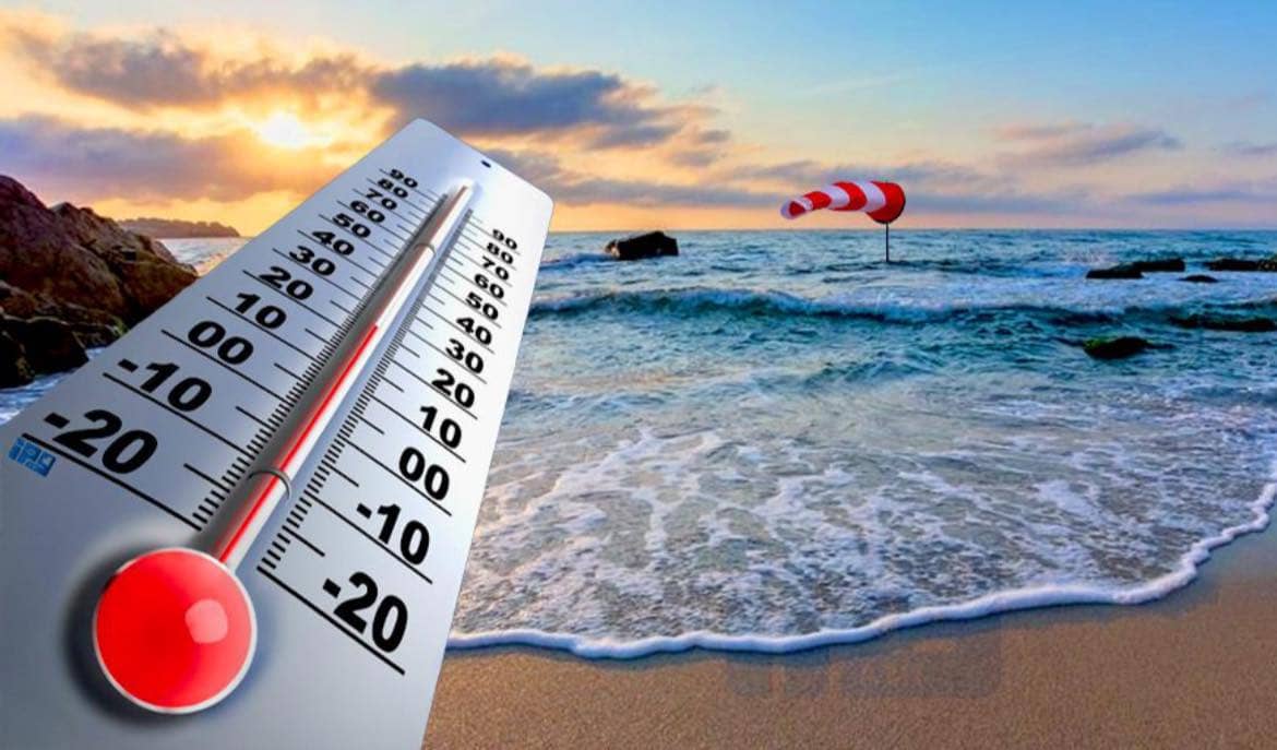 الصورة الرئيسية للمقال