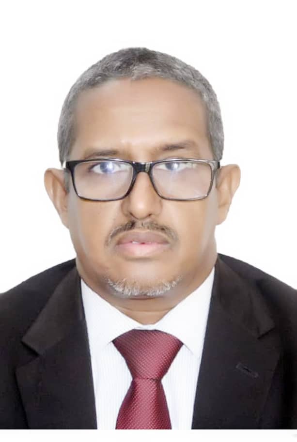 الصورة الرئيسية للمقال