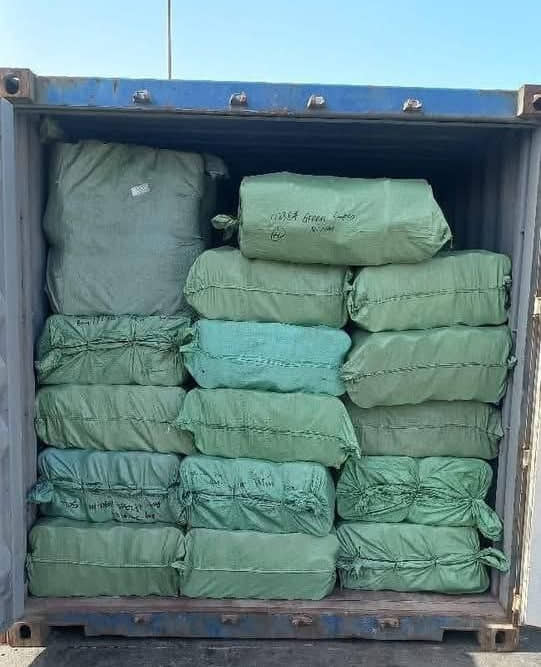 الصورة الرئيسية للمقال