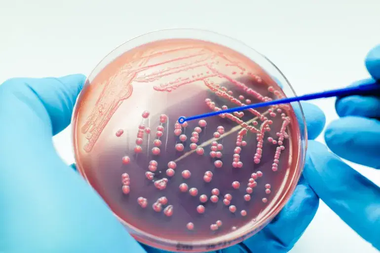 الصورة الرئيسية للمقال