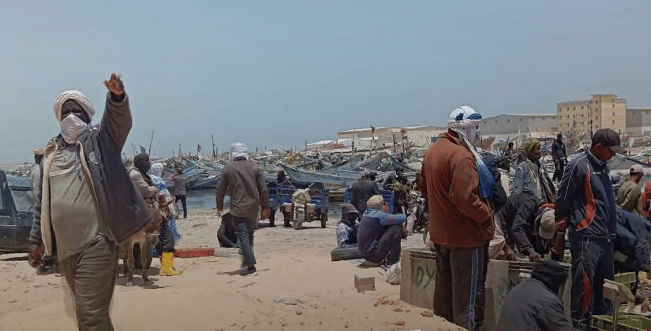 الصورة الرئيسية للمقال