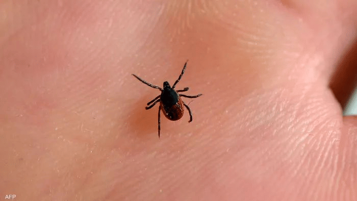 الصورة الرئيسية للمقال