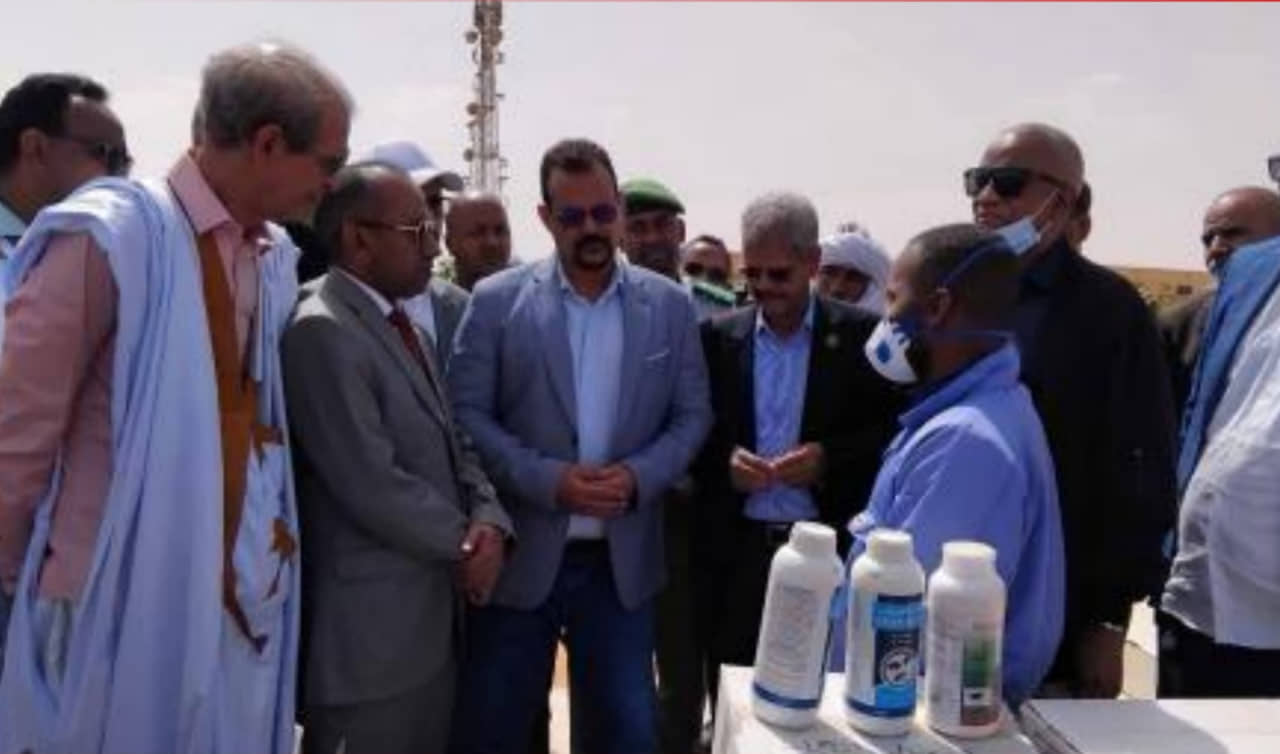 الصورة الرئيسية للمقال