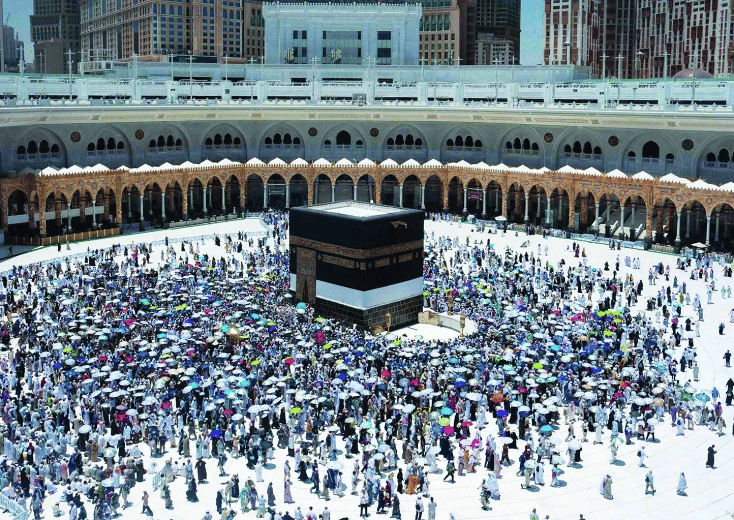 الصورة الرئيسية للمقال