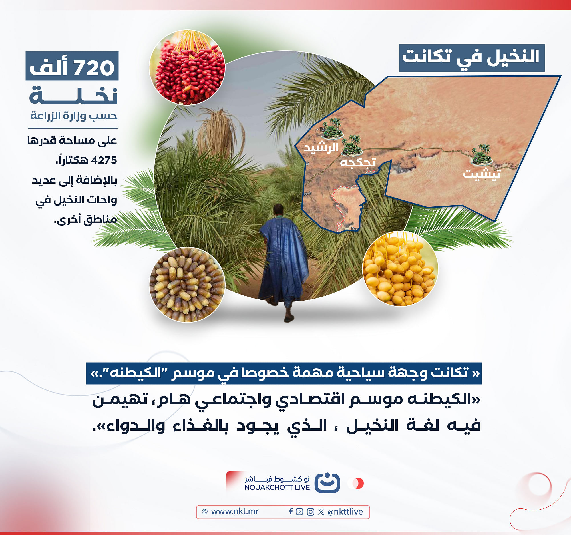 تكانت في موسم الكيطنه