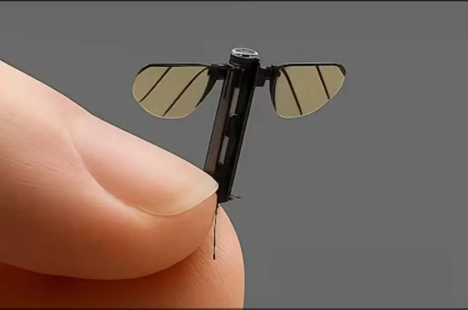 الصورة الرئيسية للمقال