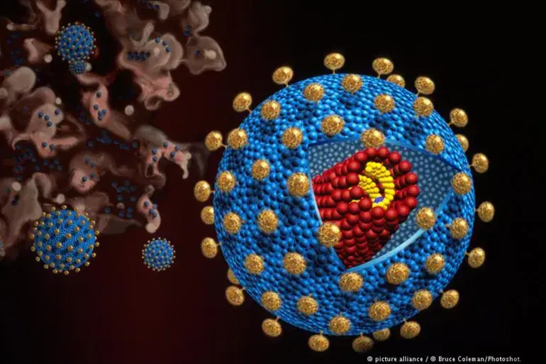 الصورة الرئيسية للمقال