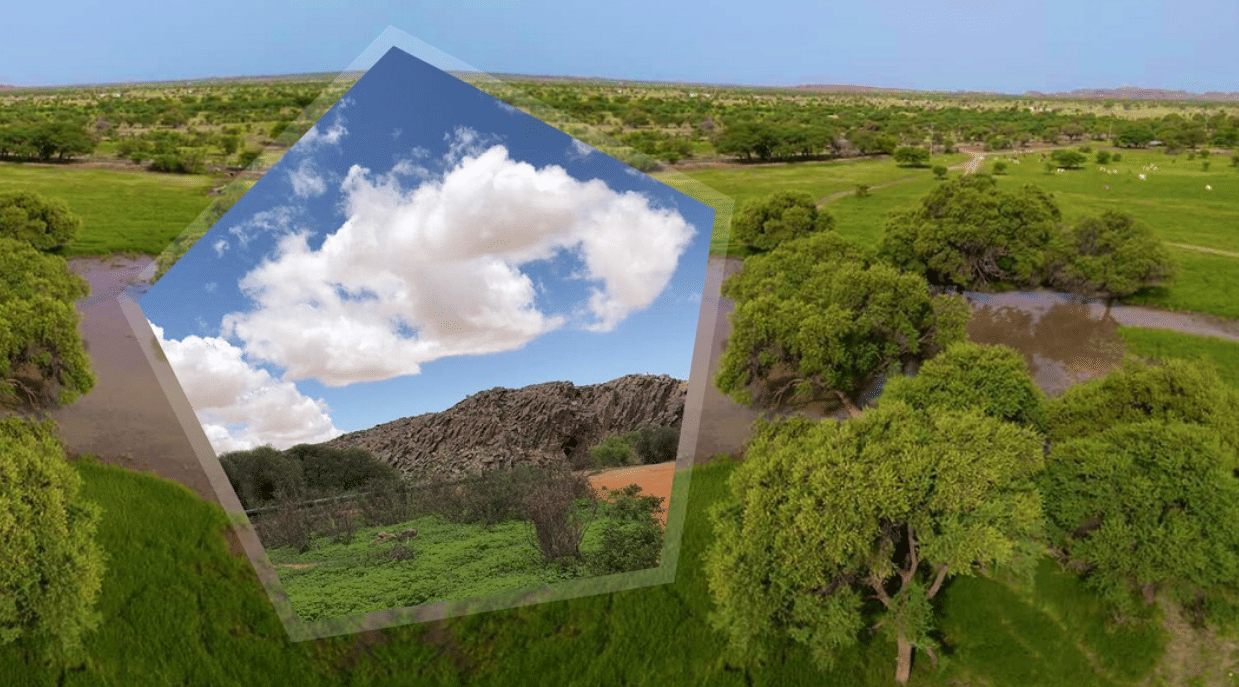 الصورة الرئيسية للمقال