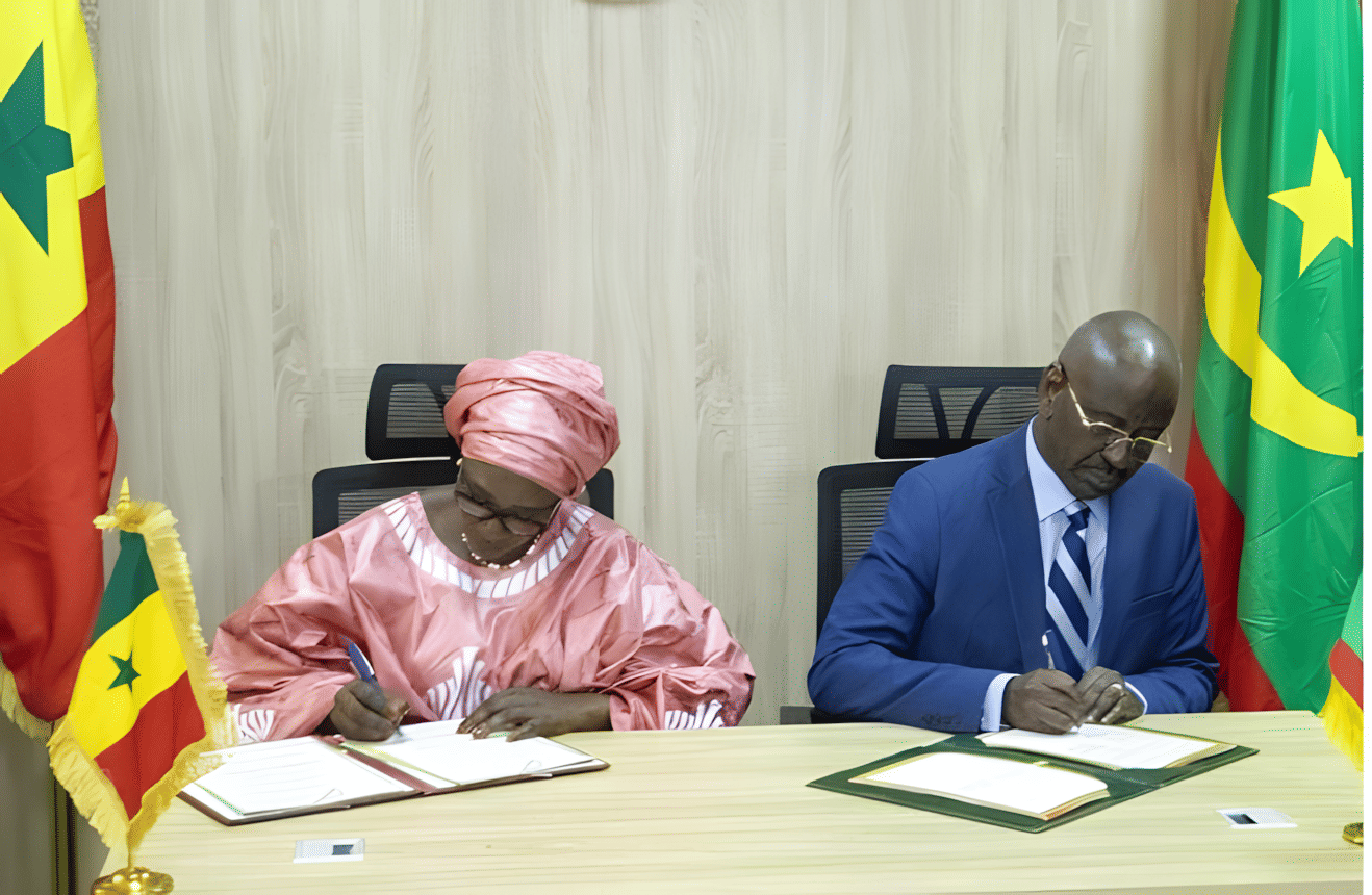 الصورة الرئيسية للمقال