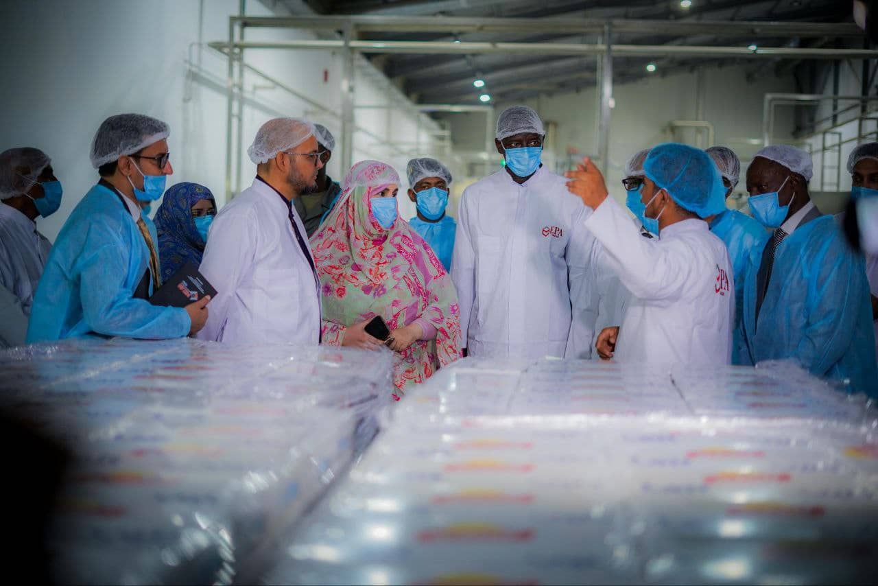 الصورة الرئيسية للمقال