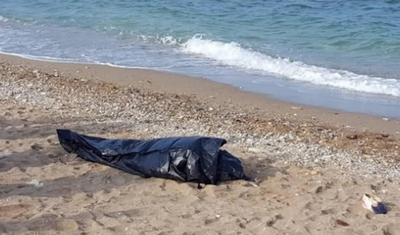 الصورة الرئيسية للمقال