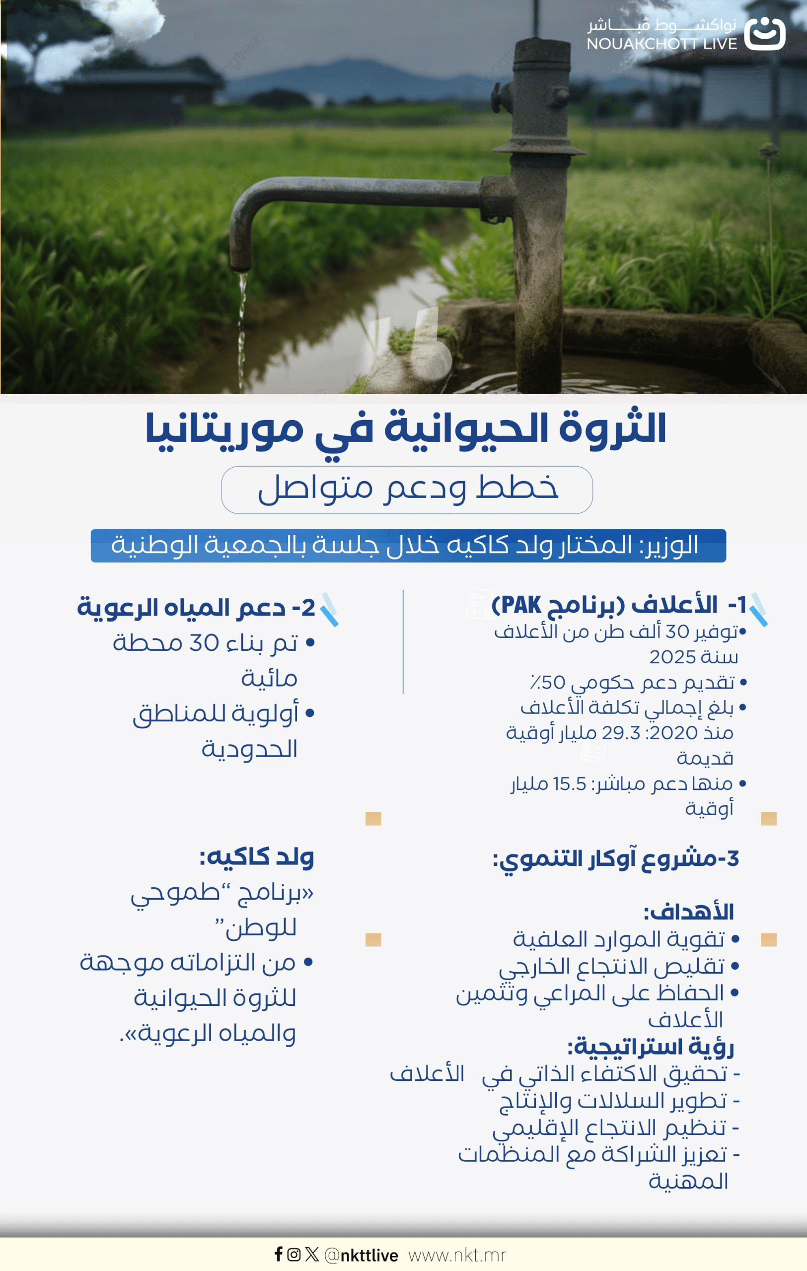 الصورة الرئيسية للمقال