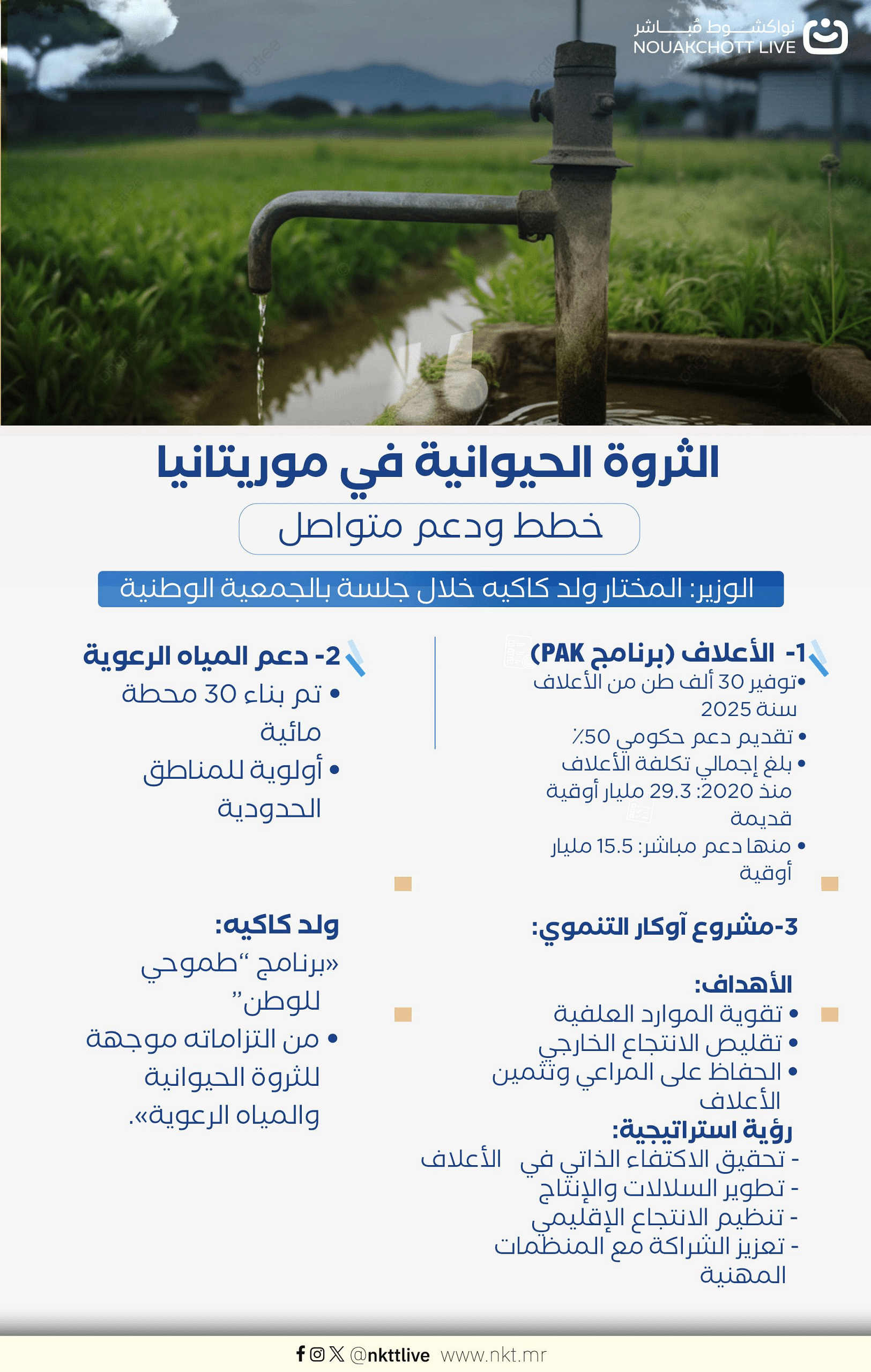 الثروة الحيوانية في موريتانيا: خطط ودعم متواصل