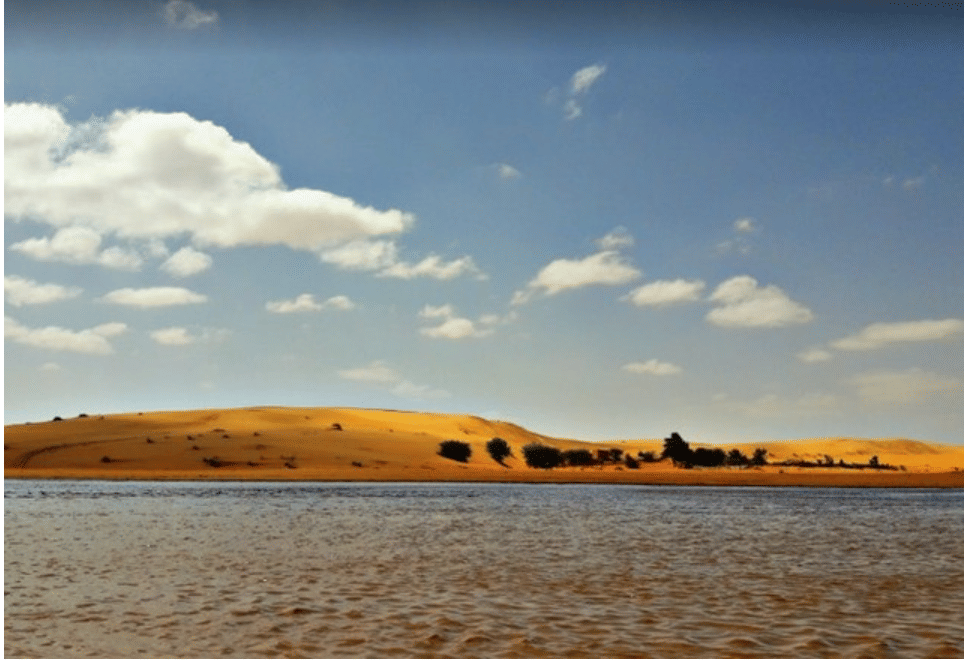 الصورة الرئيسية للمقال