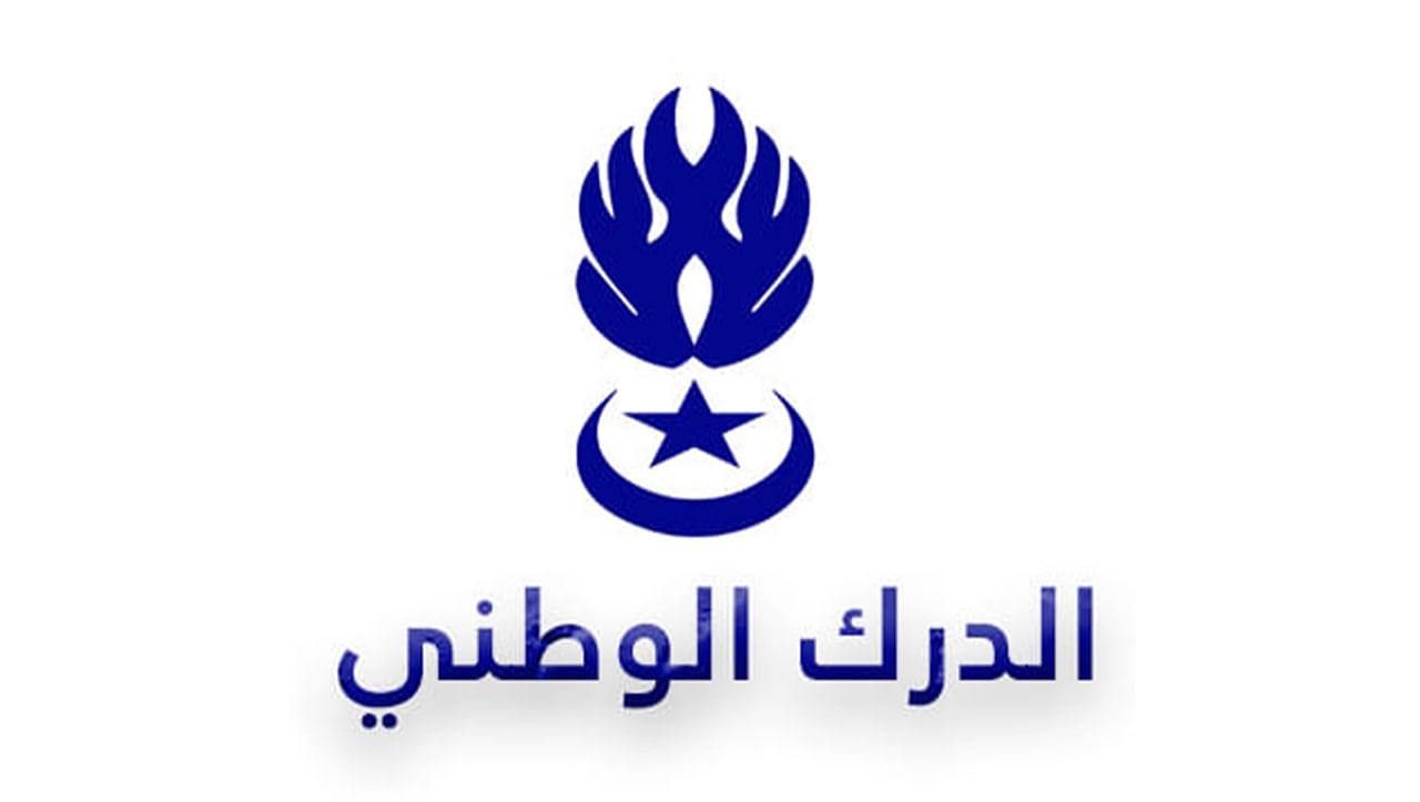 صورة المقال