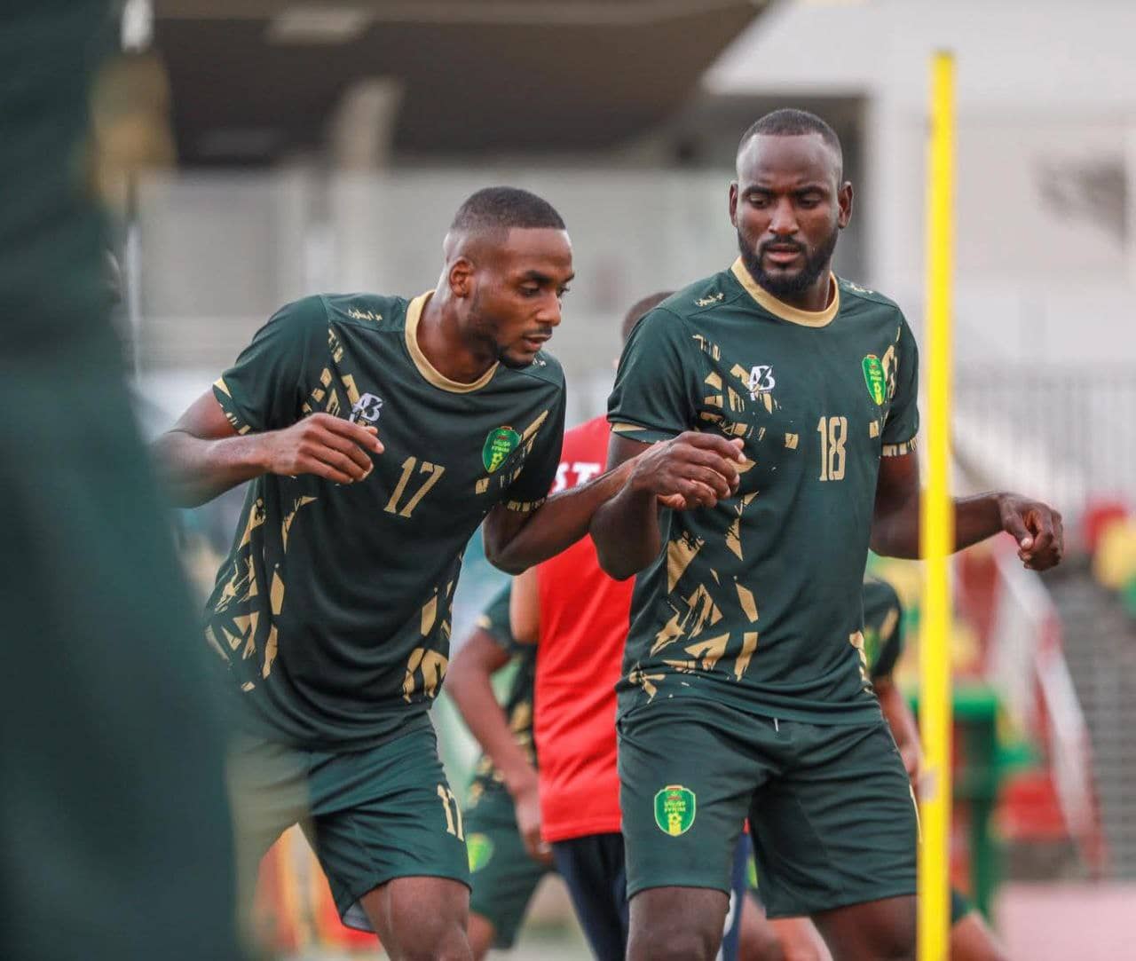 الصورة الرئيسية للمقال