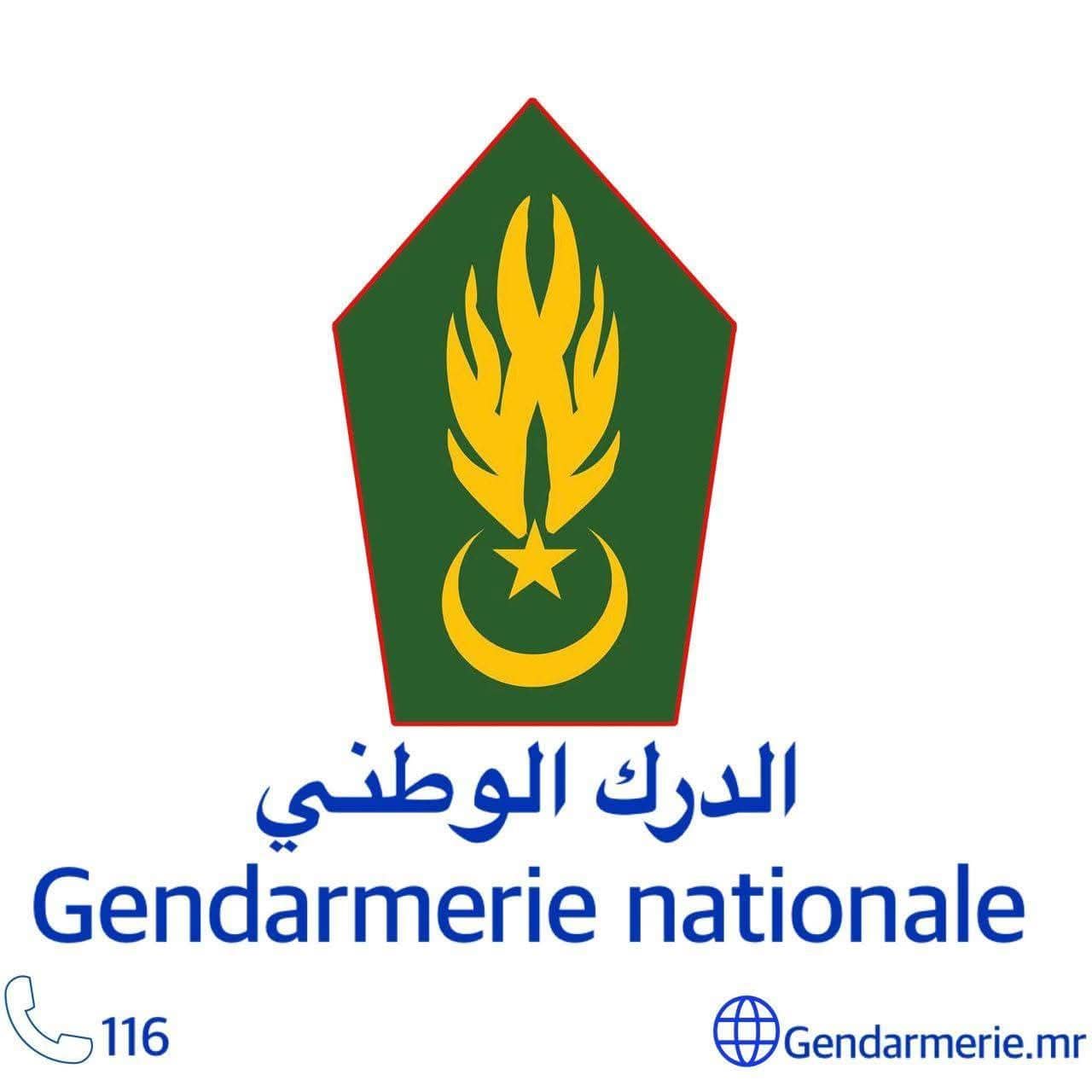 الصورة الرئيسية للمقال