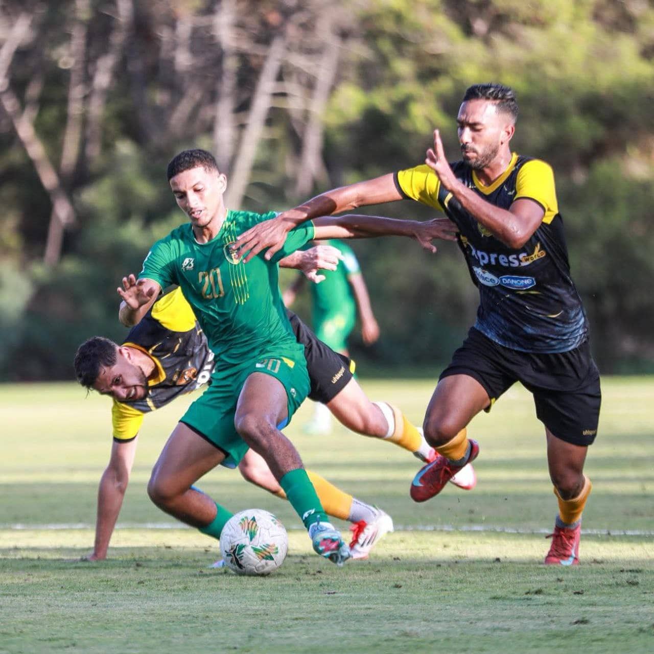 الصورة الرئيسية للمقال