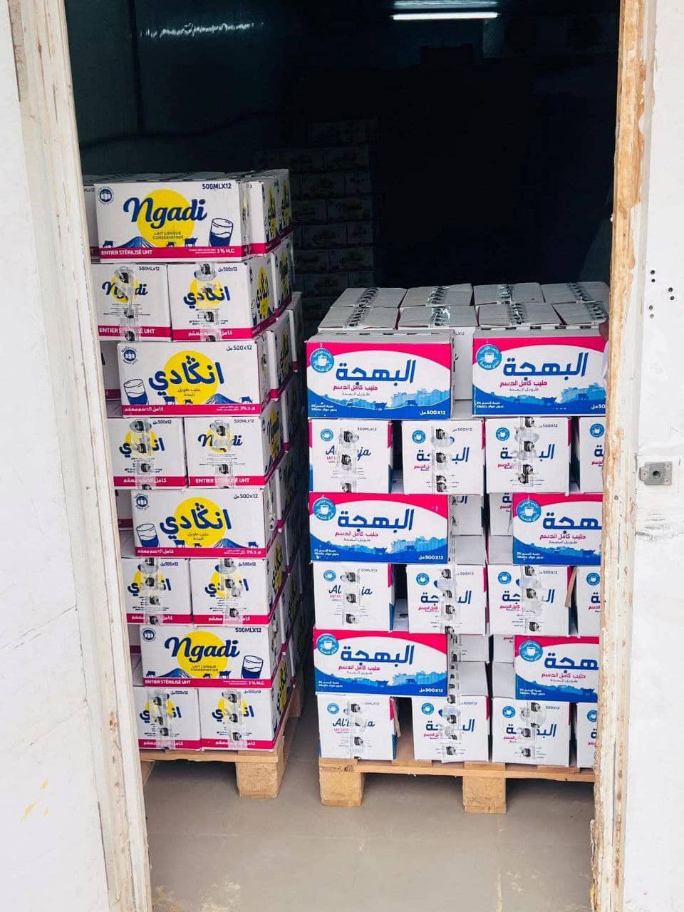 الصورة الرئيسية للمقال