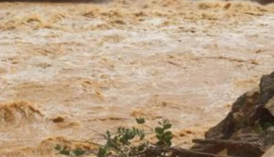 الصورة الرئيسية للمقال