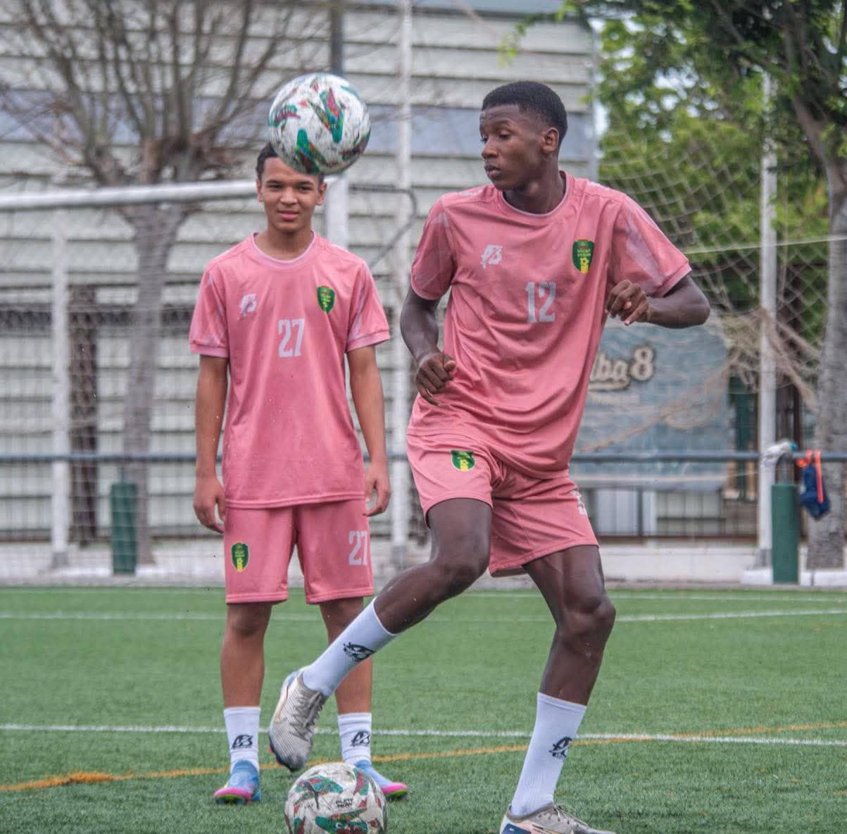 الصورة الرئيسية للمقال