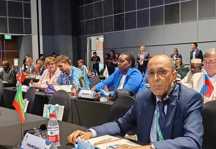 الصورة الرئيسية للمقال