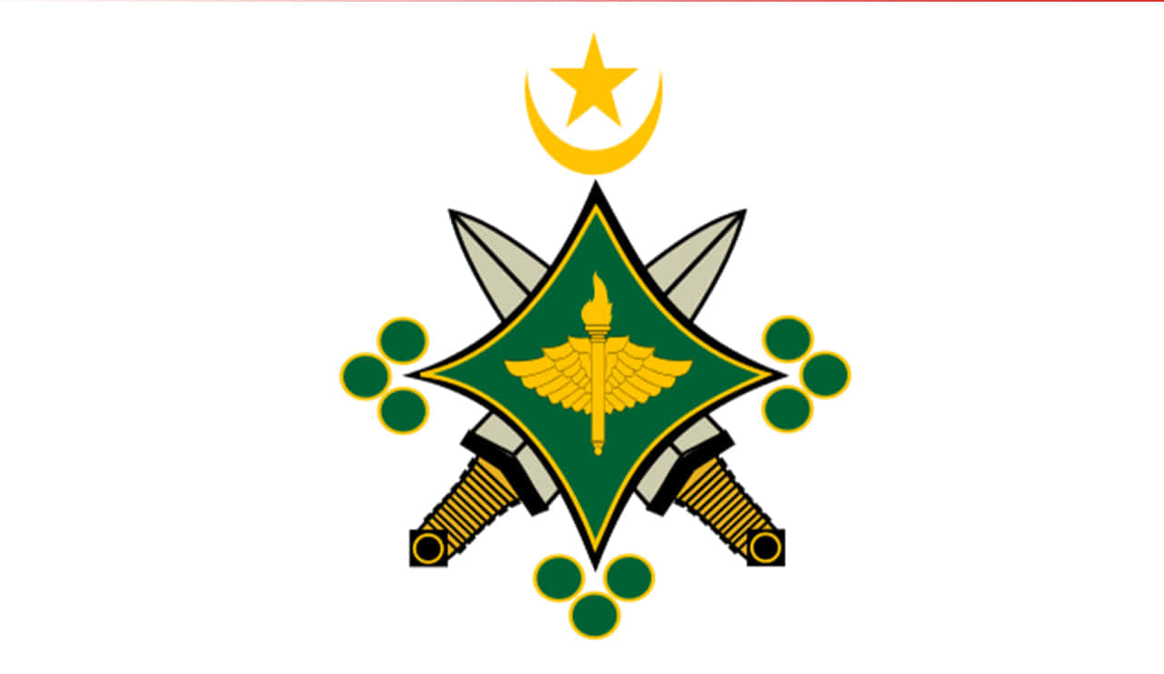 صورة المقال